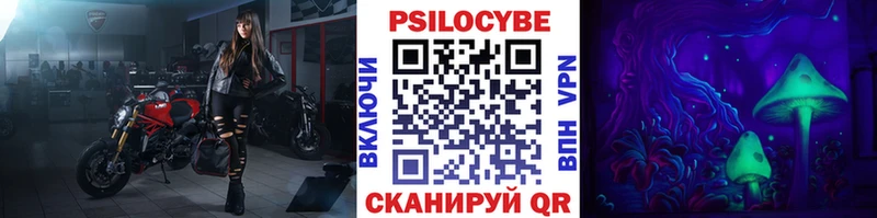 сколько стоит  Инза  omg   Галлюциногенные грибы Magic Shrooms 